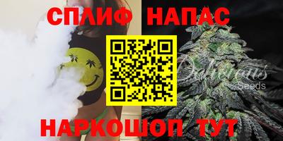 ПСИЛОЦИБИНОВЫЕ ГРИБЫ Камышлов