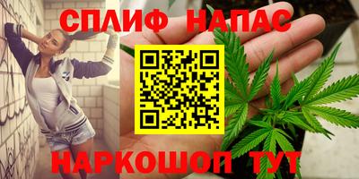ПСИЛОЦИБИНОВЫЕ ГРИБЫ Камышлов