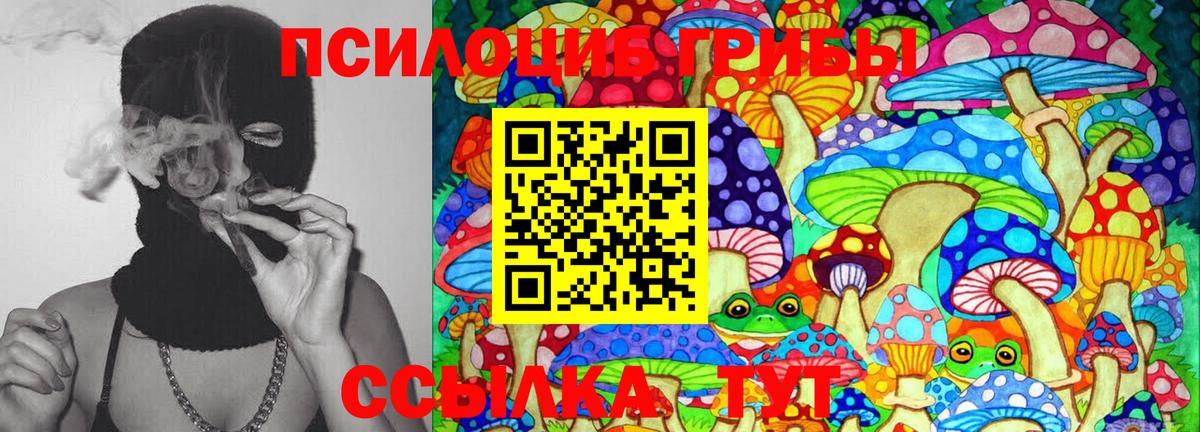 Каннабис  Кокаин  ГАШИШ  Ленинск-Кузнецкий  ЭКСТАЗИ  Вход с VPN  МЕФ кристаллы  Цена 