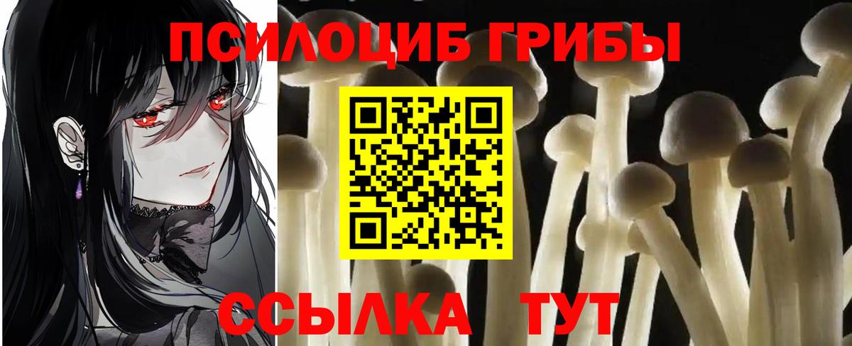 Галлюциногенные грибы мицелий  Вход с VPN  Ленинск-Кузнецкий  Псилоцибиновые грибы GOLDEN TEACHER 